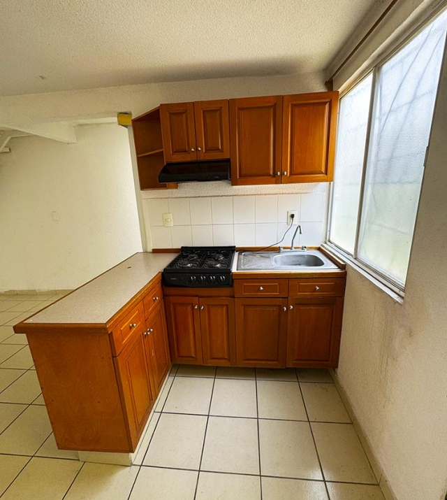 PASEOS DE LA CONFIANZA II  70 7.jpg